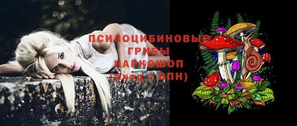 а пвп мука Няндома