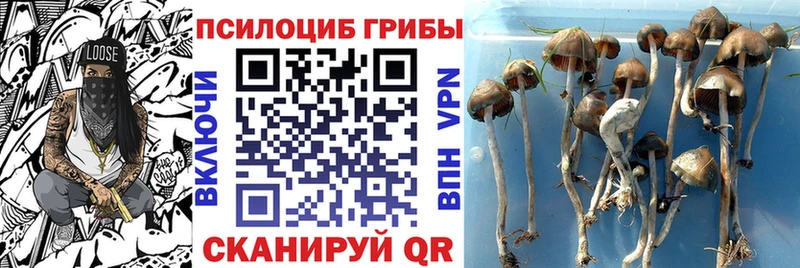 Псилоцибиновые грибы Magic Shrooms  где найти наркотики  Кораблино 